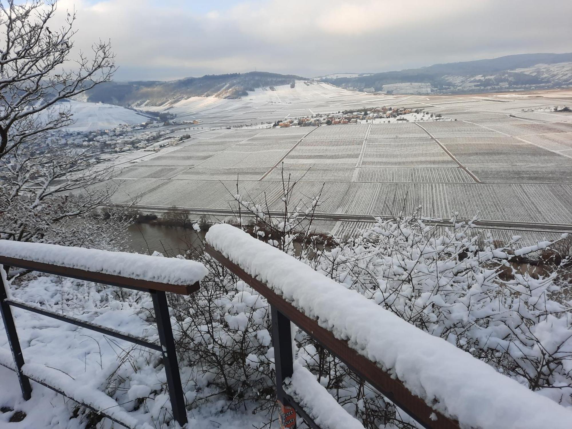 Biggi Daire Trittenheim Dış mekan fotoğraf